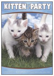 kitten party