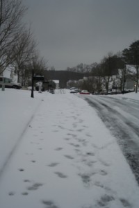 icyroads 171
