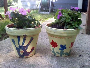 Teacher Planted Pots