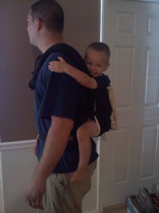 Ergo Carrier