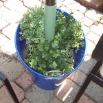 umbrella stand decorated 803